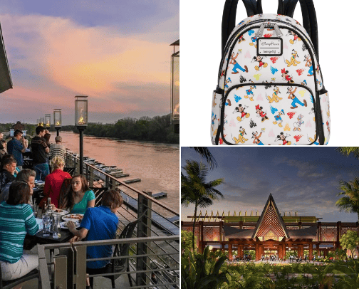 Walt Disney World Recommendations from locals! cover photo collage