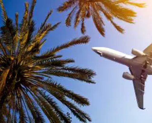 Amazon Must Haves for Long Haul Flights cover photo collage