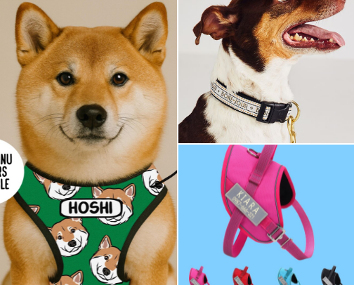 Must Have Toys, leashes & Treats cover photo collage