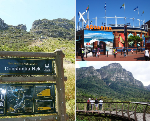 Outdoor activities cover photo collage