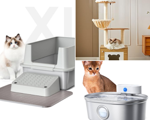 Cat’s lives matter! cover photo collage