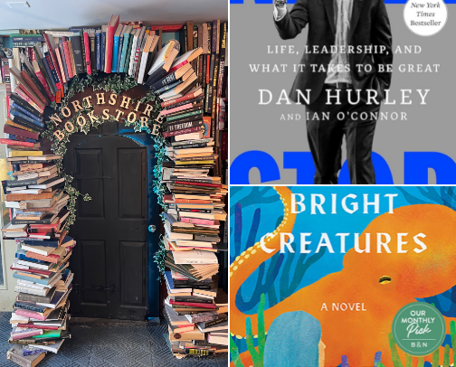 For the TBR 👀📚 cover photo collage