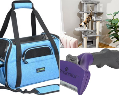 Must-Have Goodies for Maine Coon Cats cover photo collage