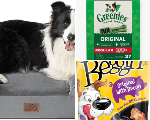 Best Pet Items cover photo collage