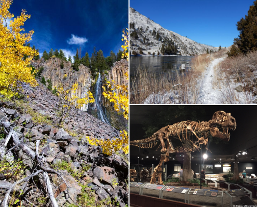 Bozeman Montana must visits cover photo collage