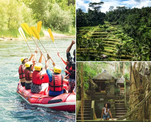 BALI activities cover photo collage