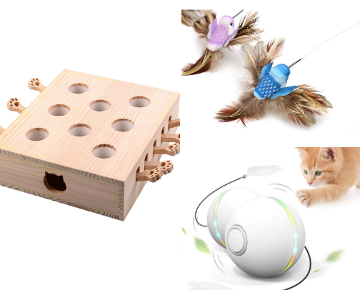 Toys and Treats for your cat cover photo collage