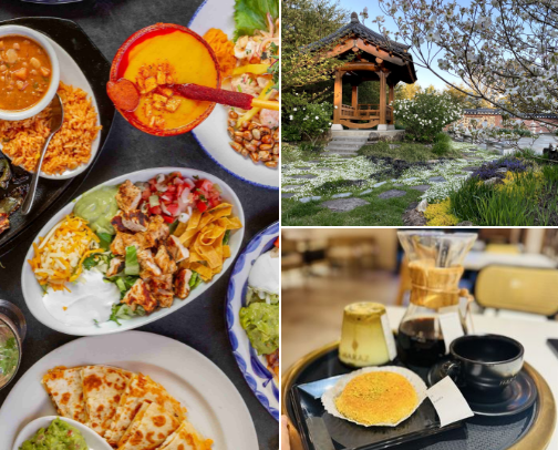 ✨Fun Things To Do In The DMV✨ cover photo collage