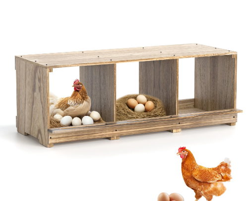 Homesteading basi cover photo collage