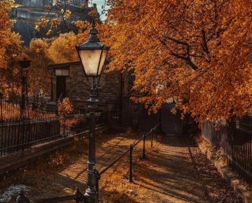 The Best for This Autumn🍂🤎 cover photo collage
