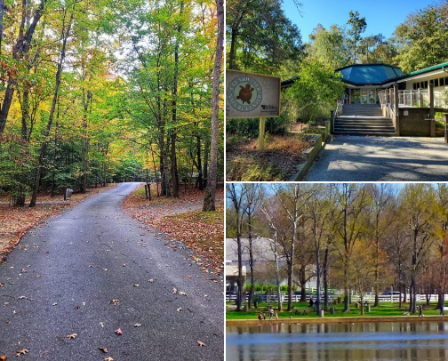 Free places in the DMV area to keep your kids busy cover photo collage