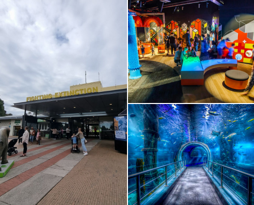 The best places to take your kids on a day out in Melbourne cover photo collage