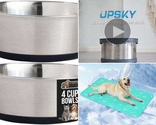 Girl, Get Your Dog cover photo collage
