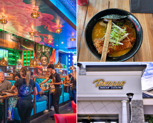 top sarasota restaurants by a girl in her 20s ✨ cover photo collage