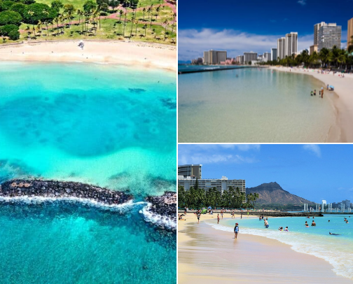 Salty and Lei'd Up cover photo collage