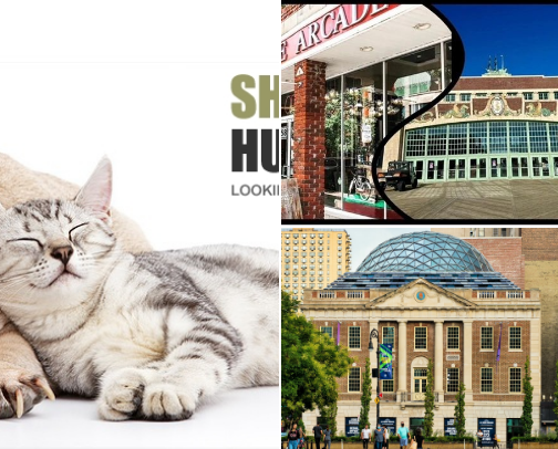 bucket list pet stores cover photo collage