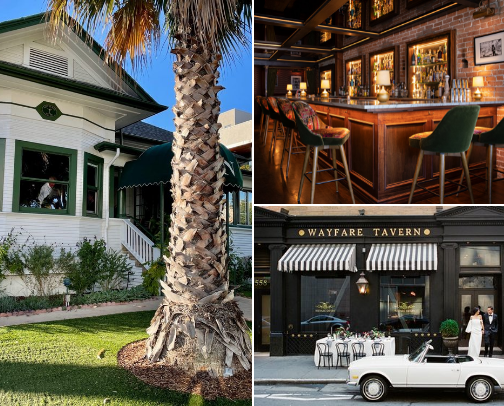 Negronis in cute spaces cover photo collage
