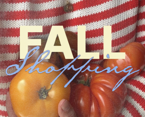 fall shopping list 🧣 cover photo collage