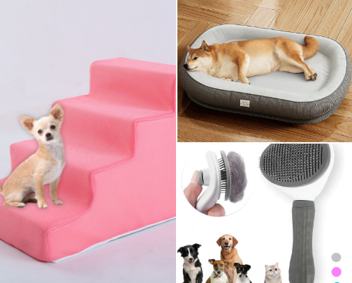 15 Things I Bought My Dogs cover photo collage