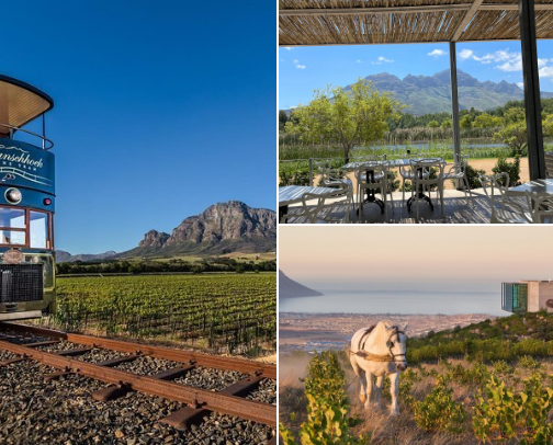 Wine farms to not miss in Cape Town cover photo collage