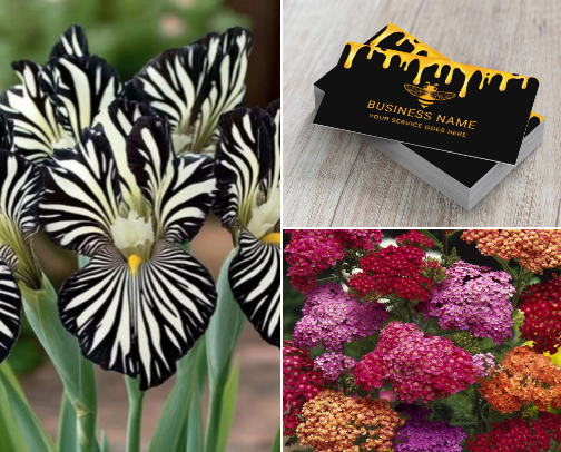 Bee Thankful for Pollinators 🐝🍯 cover photo collage