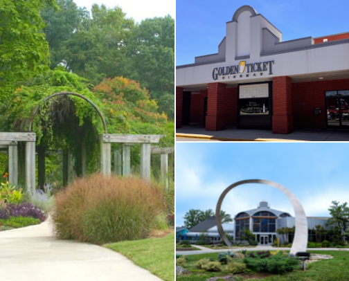 If you're in the 336... cover photo collage