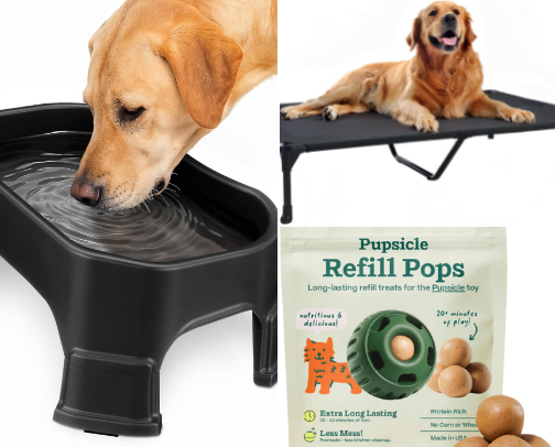 My Golden Retrievers Must Haves cover photo collage