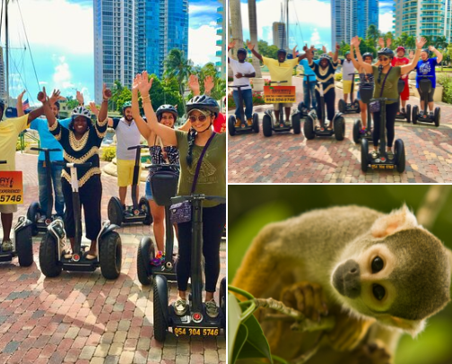 Fun Things to Do in South Florida (Miami, Fort Lauderdale area) cover photo collage