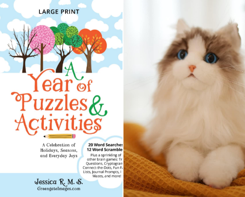Senior Living/Elder Care - Activities and Fun Stuff cover photo collage