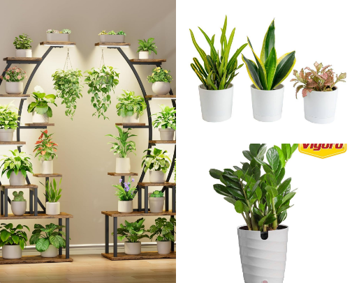 Plant Lovers Starters Must Haves cover photo collage