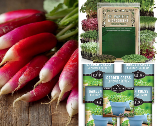 Fast & Easy Homegrown Veggies: Quick-Harvest Edibles for Daily Fresh Food cover photo collage