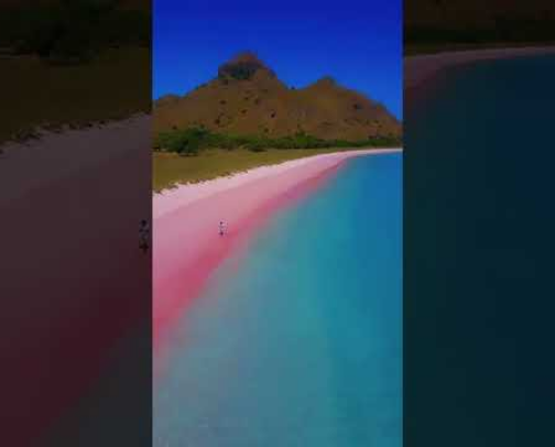 Paradise Found: Pink Beach Komodo cover photo collage