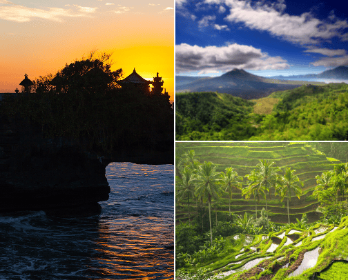 Must-visit place in Bali (eco-tourism only) cover photo collage