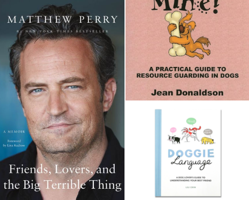 10/10 recommended books cover photo collage