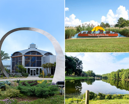 Explore Greensboro cover photo collage