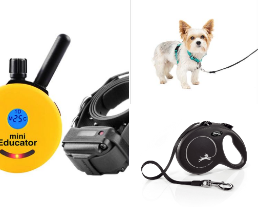 Our Most Used, Quality Dog Gear cover photo collage