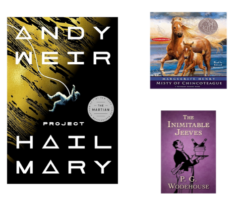 Audio Books that I have enjoyed cover photo collage