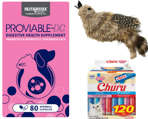 Pet favorites for your furry little friends 🐾 cover photo collage
