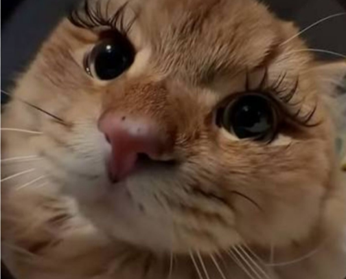 Mascara Reviews 👁️✍️👁️ cover photo collage