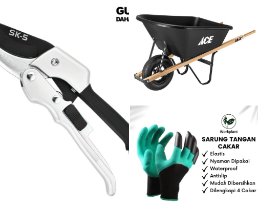 Home & Living Essentials | Kitchenware & Tools Terbaik | shopee & Ace Hardware cover photo collage