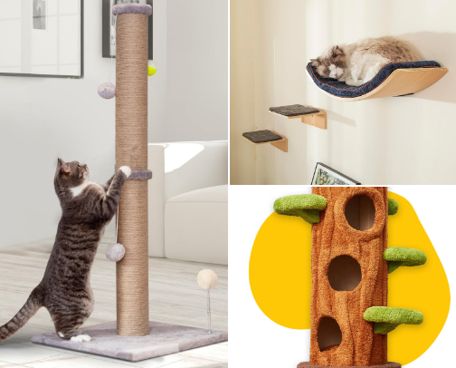 Cat Zone cover photo collage