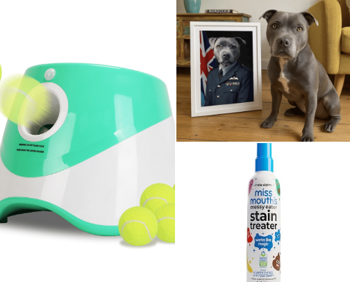 Pet Care and Toys cover photo collage