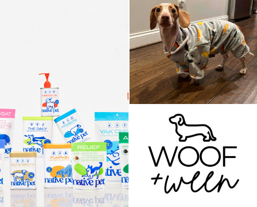 🐾 Essentials Every Dog Parent Needs cover photo collage