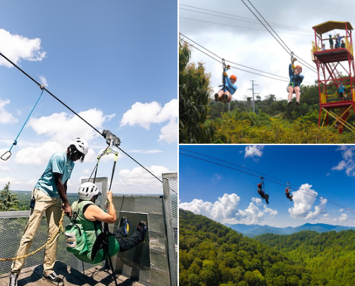 8 Best Ziplining Experiences in the U.S. (Worth Traveling For) cover photo collage