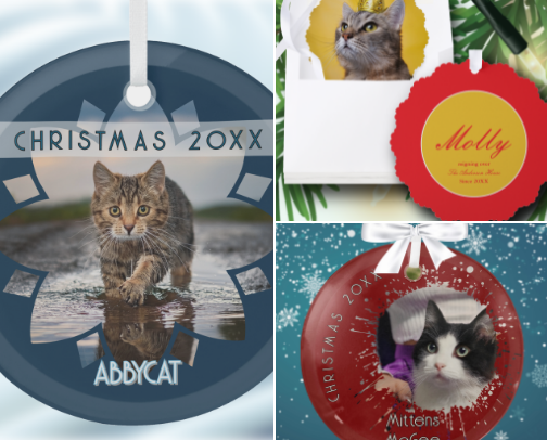 Cats for Christmas cover photo collage