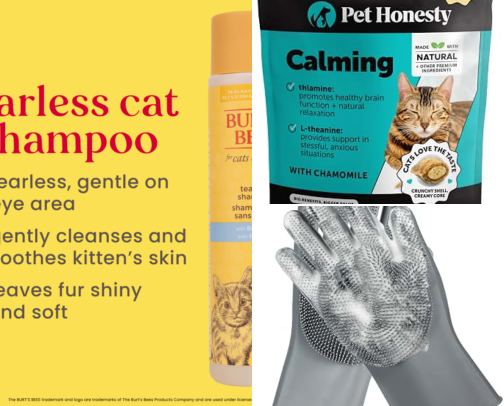 Cat Moms, this ones for YOU cover photo collage