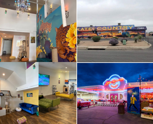 🍽️ Cool places to go in Tucson for eats and adventures 🏜️ cover photo collage