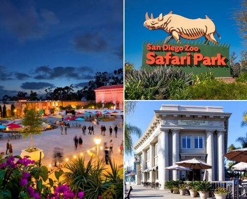 San Diego Dreaming cover photo collage