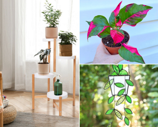 All things plants! cover photo collage