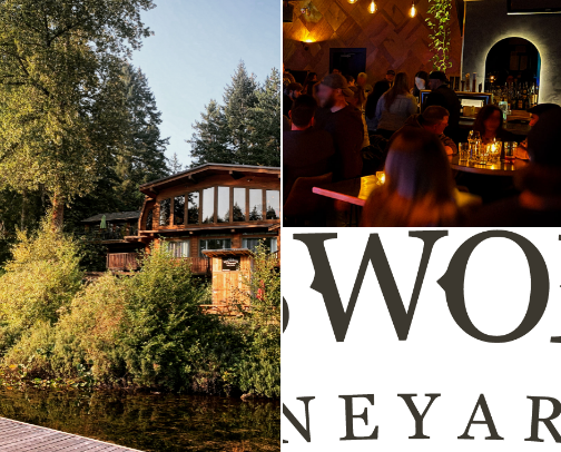 My top Van Isle recs cover photo collage